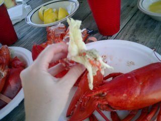 inside lobster