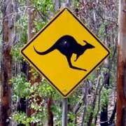 Kangaroo warning sign
