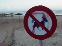 No setting jagged-tailed dogs on fire.