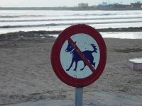 No jagged-tailed dogs allowed.