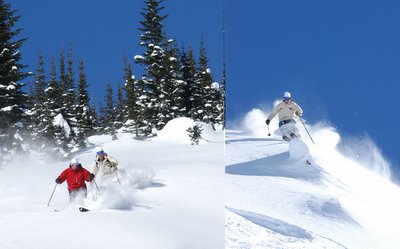 Tree skiing and skiing interesting features at Chatter Creek cat skiing