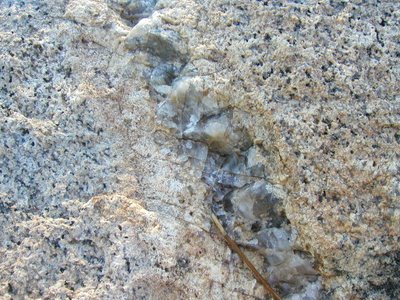 Hornblende diorite porphyry inclusions