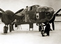 IL-2Stumoviks