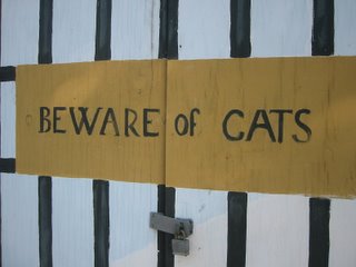 beware of cat photo