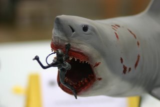 jacksonville shark attack