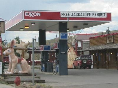 free jackalope information exhibit