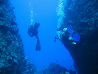 Diving the Grotto