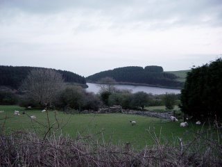 Rosebush Dam