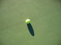 This is a Tennis ball