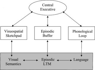 a comparison of short term memory and working memory Similarities and differences between working memory and long-term short-term memory, working memory term working memory implies a system for the temporary. a comparison of short term memory and working memory Similarities and differences between working memory and long-term short-term memory, working memory term working memory implies a system for the temporary.