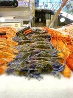 Blue Crabs