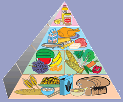Diet Pyramid