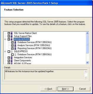 sql server 2005 developer edition upgrade