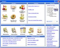 Microsoft Small Business Accounting Software (SBA)
