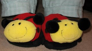 ladybug slippers