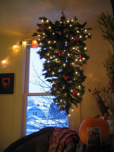growdown: Upside Down Hanging Christmas Tree