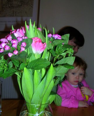 martha abby and pink tulips