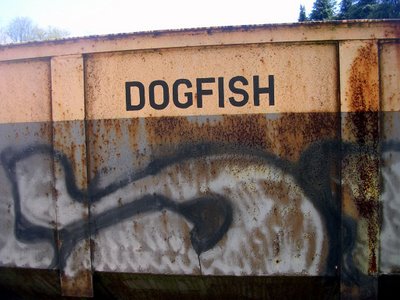 dogfish train