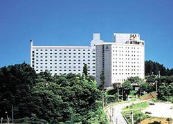 Nikko Narita Hotel Overview