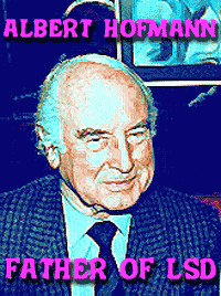 partnervermittlung hofmann quotes
