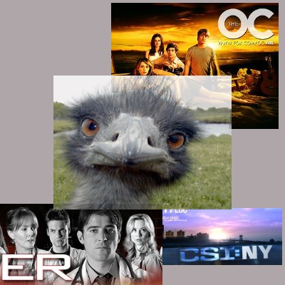 EMU and his shows