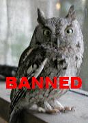 Nanny Bans Owls