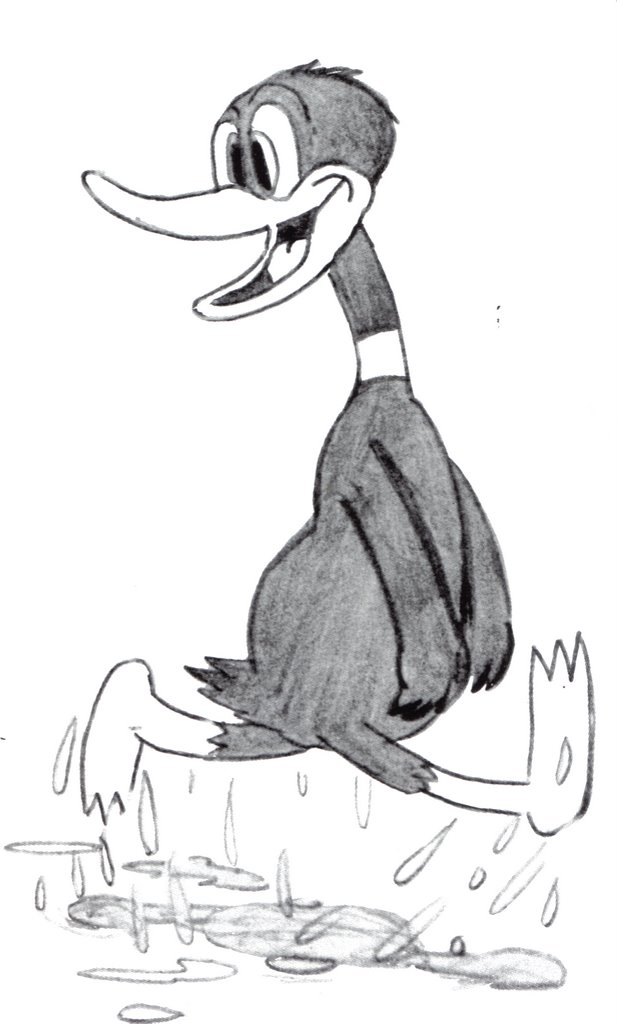 Daffy Duck Model Sheets.