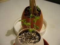 20 Feb 06
