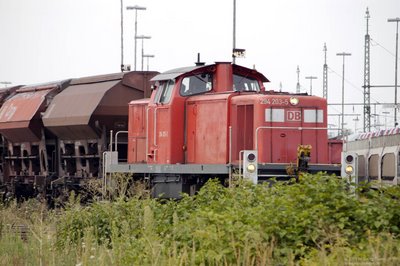 BR 294 203-5