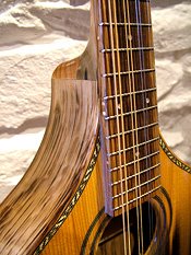 Fylde Mandolin Close-up
