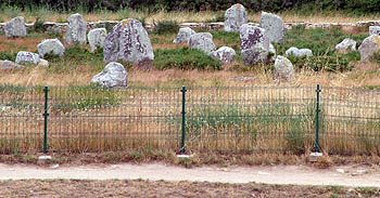 The fenced off stones at Carnac