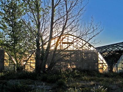 Greenhouse at Sunrise