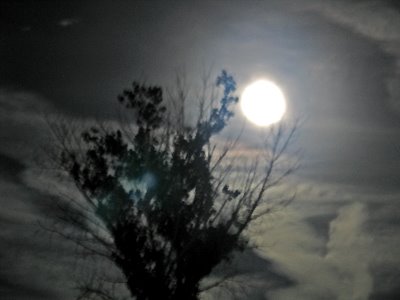 Moonrise Mesilla