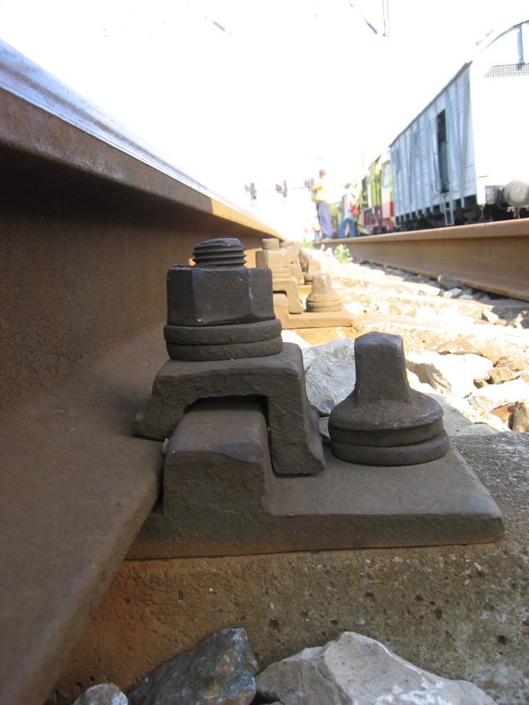 cale ferata: July 2006