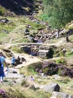 Picture of Bronte Waterfalls