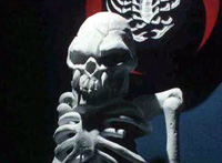 The Leader of Destron