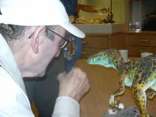Ken Leckie taking a close look at a small dinosaur