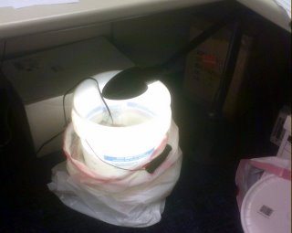 Travel tank (bucket) under desk with desk lamp light