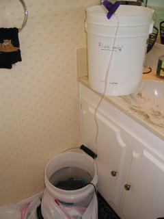 Drip system from 50% tank water 50% new NSW into Travel tank (bucket)