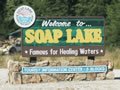 Welcome to Soap Lake Sign