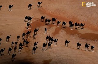 Sombra de una caravana de camellos sobre desierto turco (National Geographic)