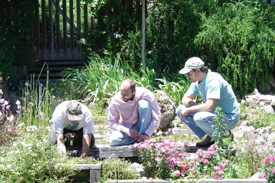 three men studying a small pond in a rock garden