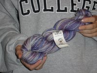 Color Me handpainted yarn in Misty