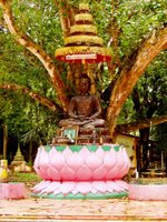 Buddha on Lotus Flower, Wat Sapam