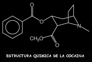 estructura molecula cocaina coca perico conseguir blog bogota