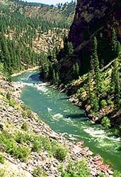 Salmon River Rapids
