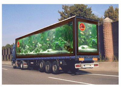 Cool Painted Illusions Of Truck