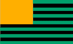 Flag Illusion