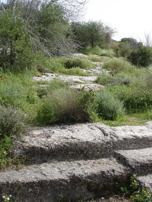 Roman steps