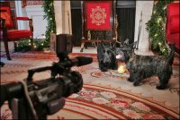 Barney and Miss Beazley prepare for their close up during the making this year's Barney Cam in the Red Room